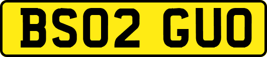 BS02GUO
