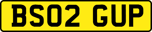 BS02GUP