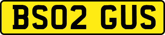 BS02GUS