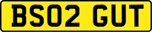 BS02GUT