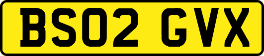 BS02GVX