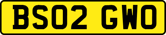 BS02GWO