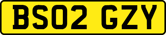 BS02GZY
