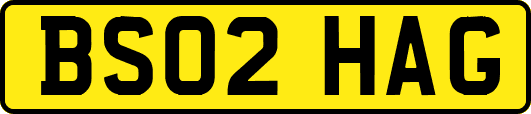 BS02HAG