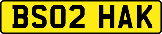 BS02HAK