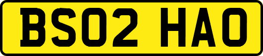 BS02HAO