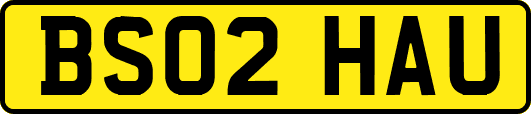BS02HAU
