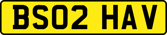 BS02HAV