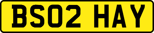 BS02HAY