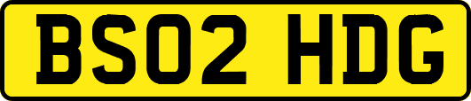 BS02HDG