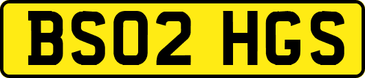 BS02HGS