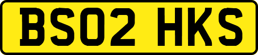 BS02HKS