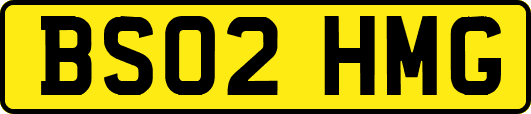 BS02HMG