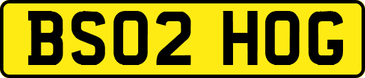 BS02HOG