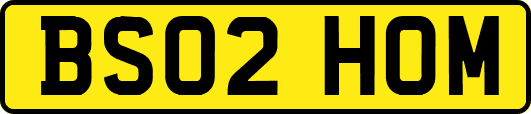 BS02HOM