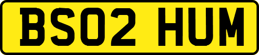 BS02HUM