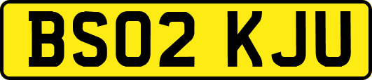 BS02KJU
