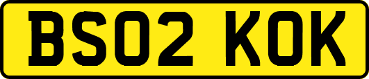 BS02KOK