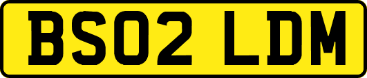 BS02LDM