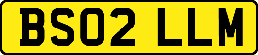 BS02LLM