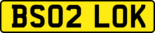 BS02LOK