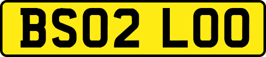 BS02LOO