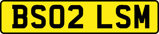 BS02LSM