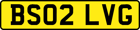 BS02LVG