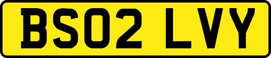 BS02LVY