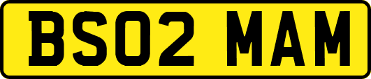 BS02MAM