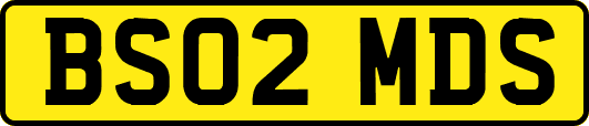 BS02MDS