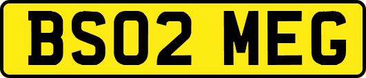 BS02MEG