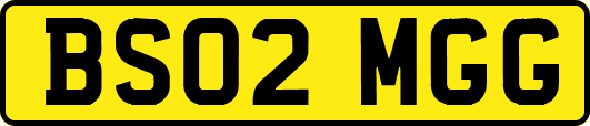 BS02MGG