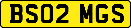 BS02MGS
