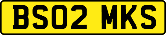 BS02MKS