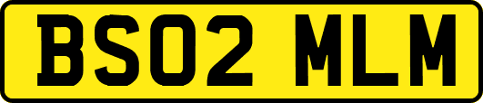 BS02MLM