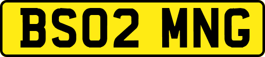 BS02MNG
