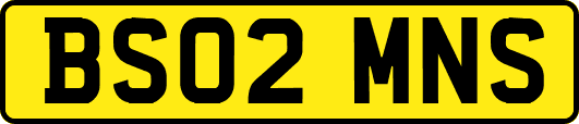 BS02MNS