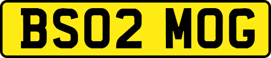 BS02MOG