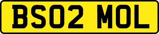BS02MOL