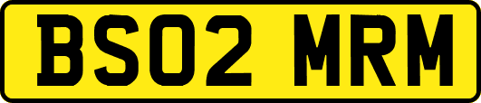 BS02MRM