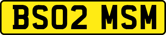 BS02MSM