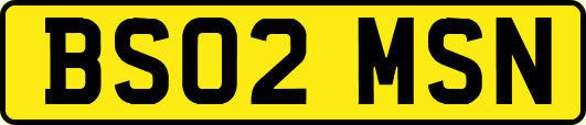 BS02MSN