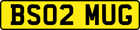 BS02MUG