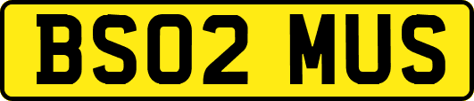BS02MUS