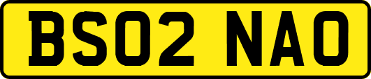 BS02NAO