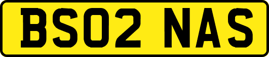 BS02NAS