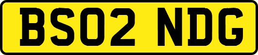 BS02NDG