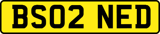 BS02NED