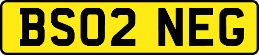 BS02NEG